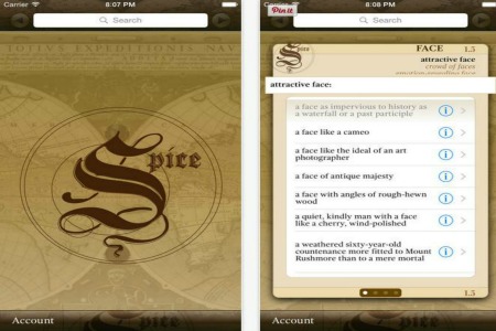 Spice Mobile 2